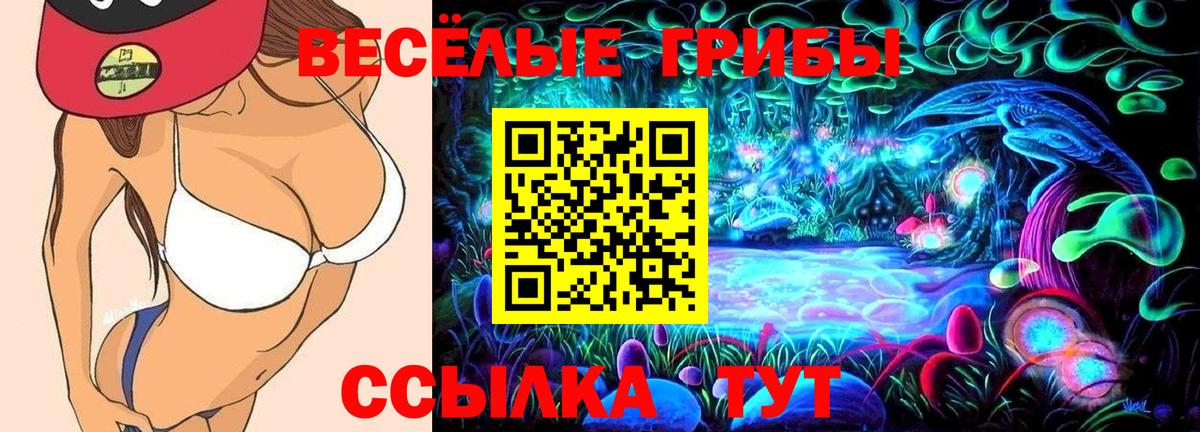 Галлюциногенные грибы Psilocybine cubensis Ипатово