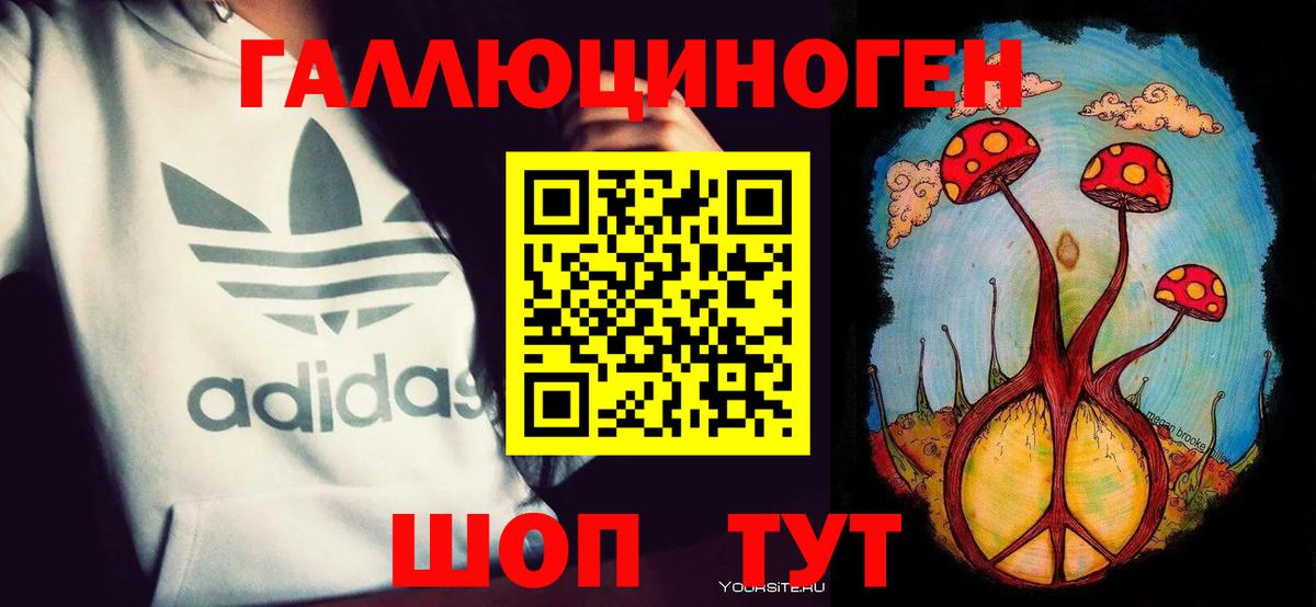 купить  сайты  Псилоцибиновые грибы Psilocybe  Вход с VPN  Ипатово  Псилоцибиновые грибы мицелий 